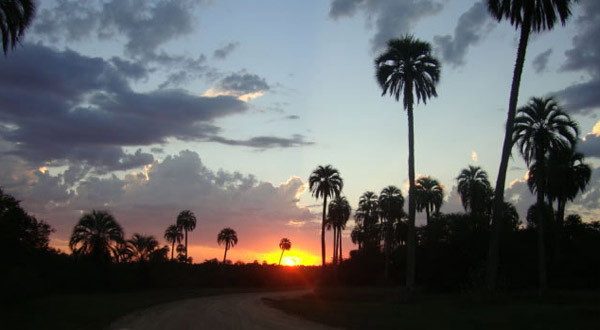 Parque Nacional El Palmar
